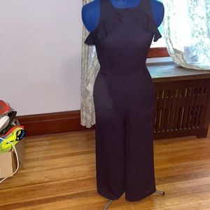 Whistles blue jumpsuit